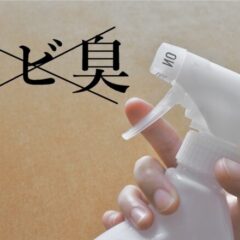 カビ臭い部屋の消臭方法は？カビの臭いがこもる原因や対策方法も解説