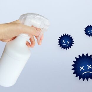 カビの消毒には何を使うべき？次亜塩素酸水について解説