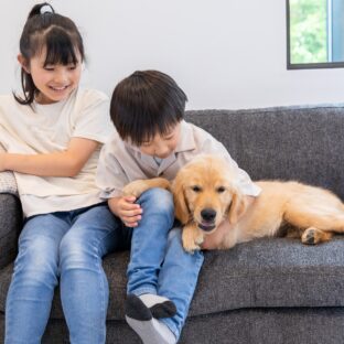 ペット（犬・猫）のにおいの原因と対策