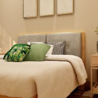 カビ臭い部屋の改善と対策について