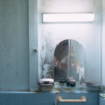 カビが招く健康被害と発生原因および対策ガイド