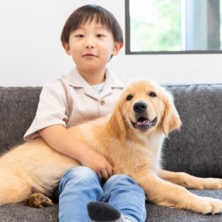 ペットと子どもが共存する家庭での除菌・消臭のポイント